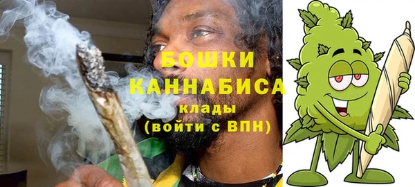 хмурый Осинники